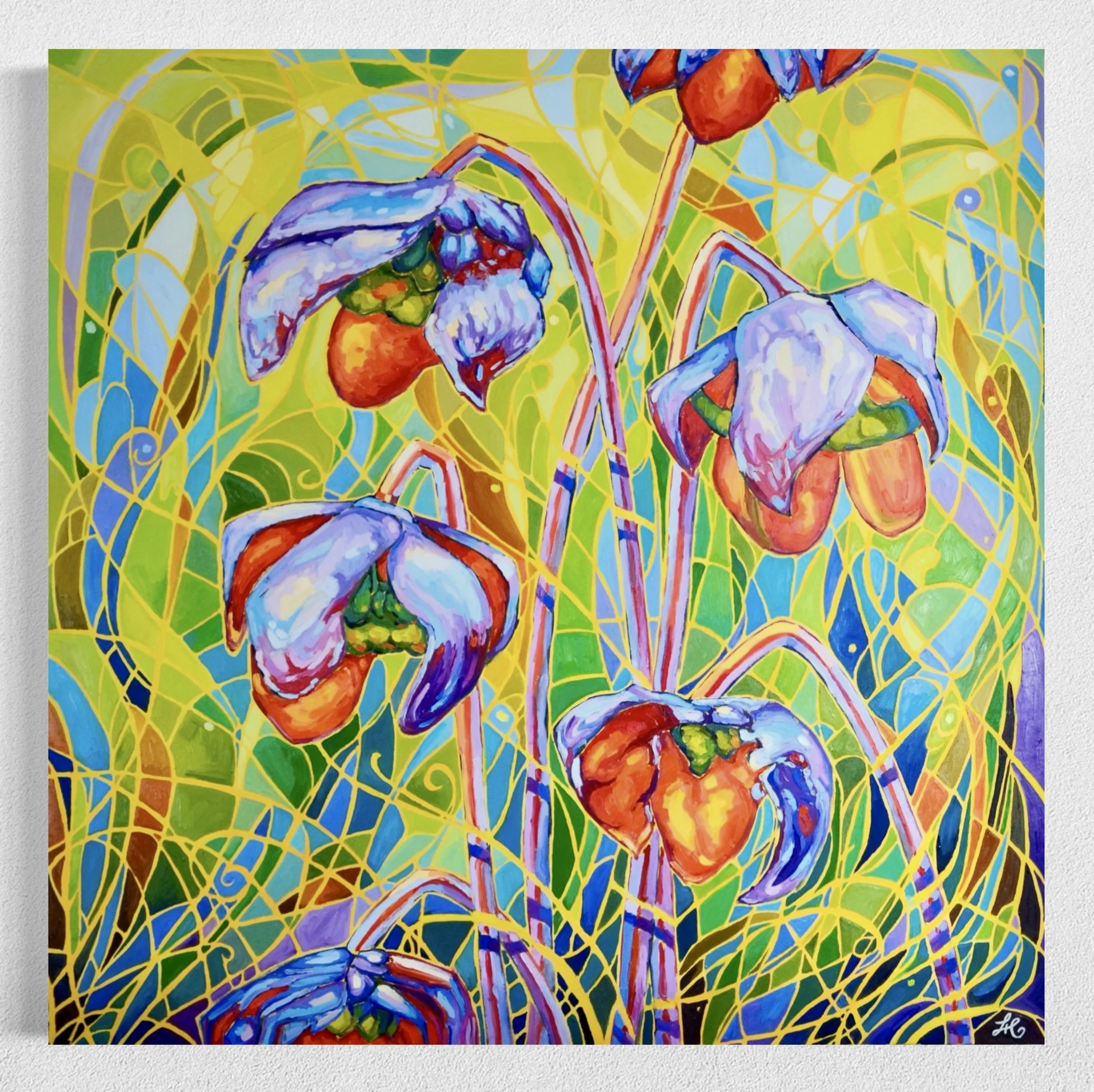 Pitcher Plant XX - 36